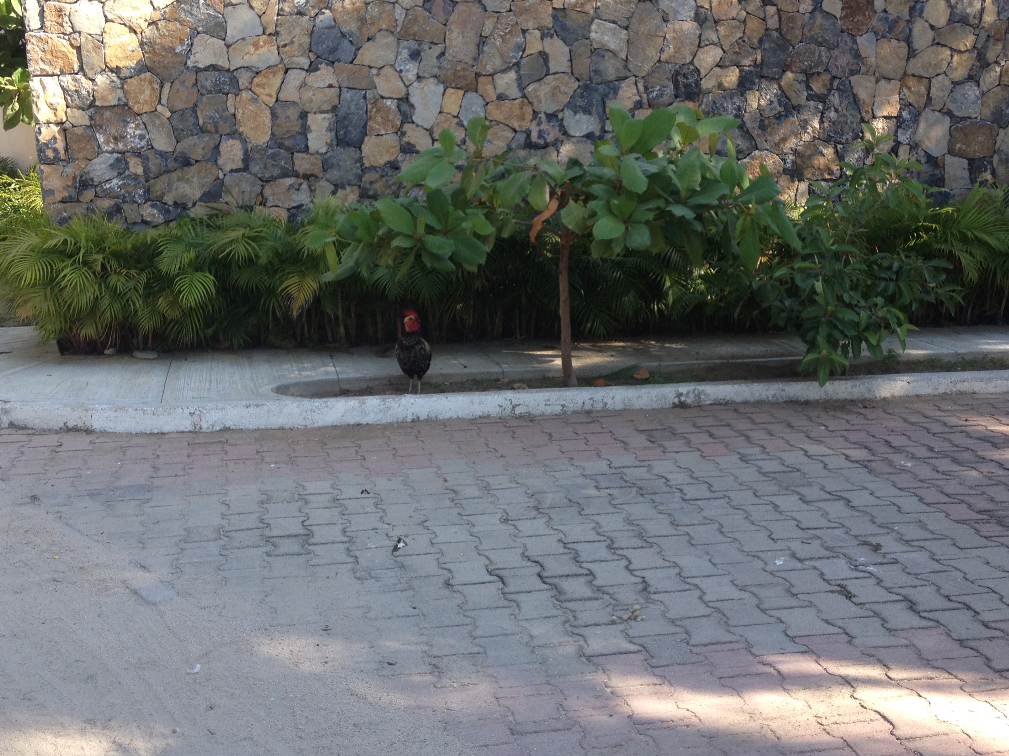 20170107_165144179_iOS