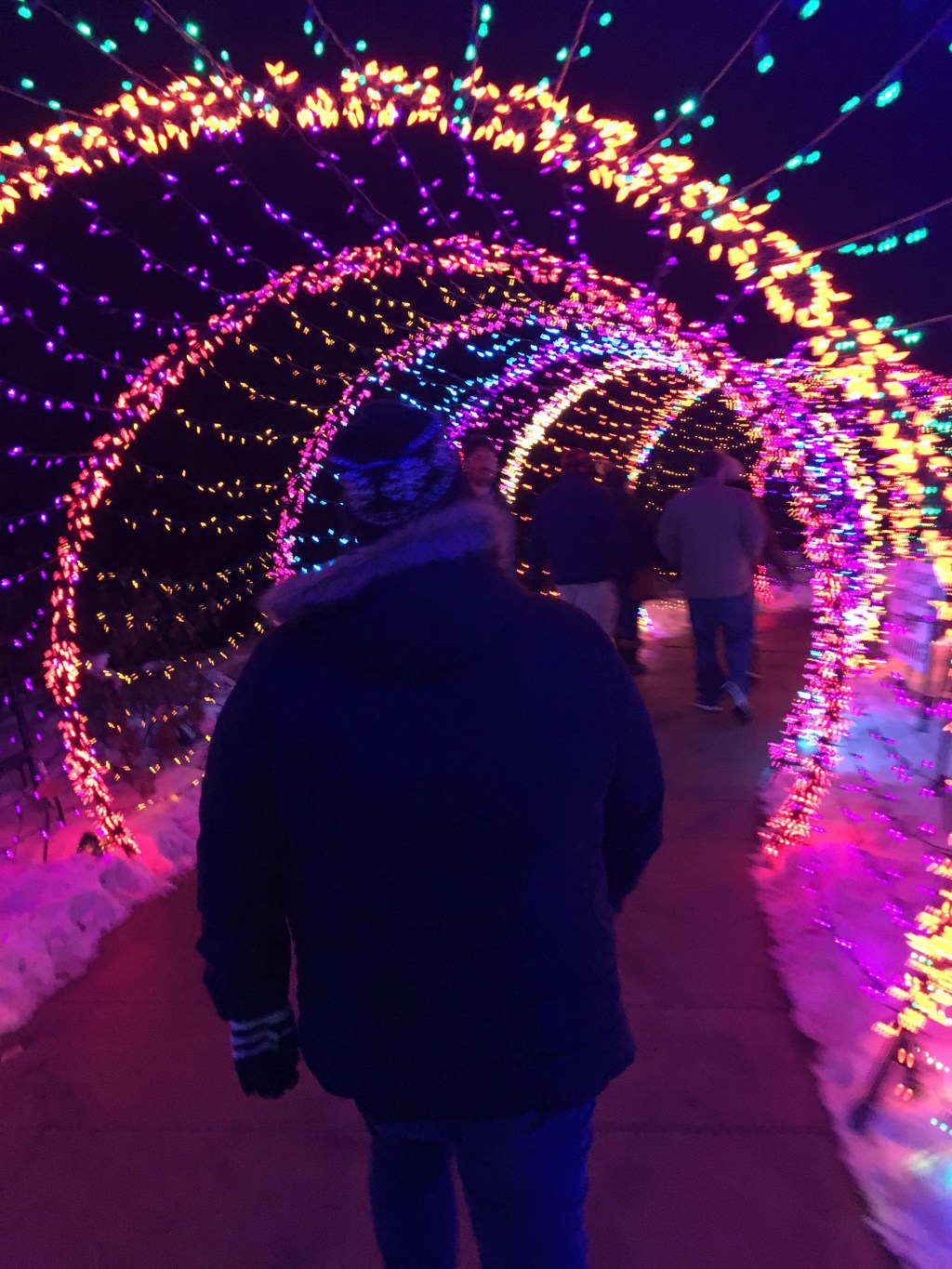 The 2019 ‘Garden of&nbsp;Lights’