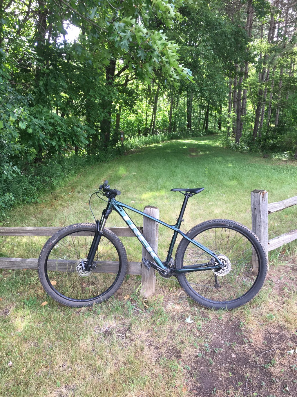 Mountain Biking at the Reforestation&nbsp;Camp.