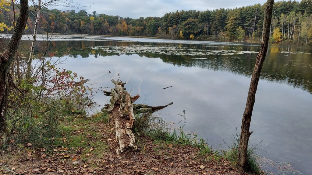 Hartman Creek State&nbsp;Park