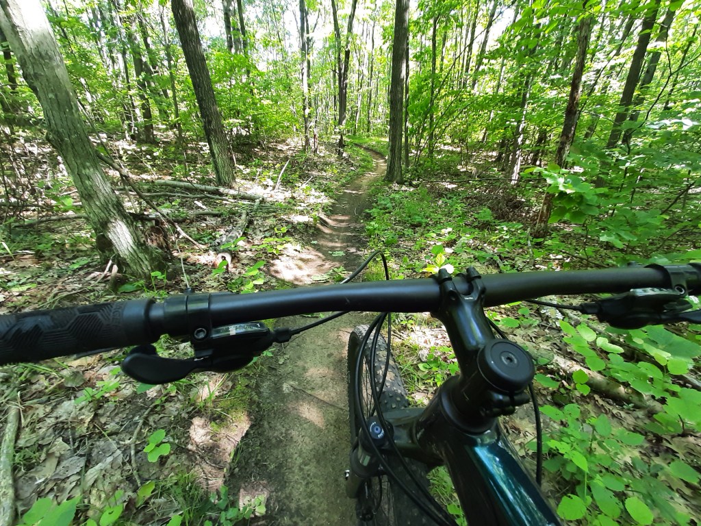 MTB Riding at the Reforestation&nbsp;Camp