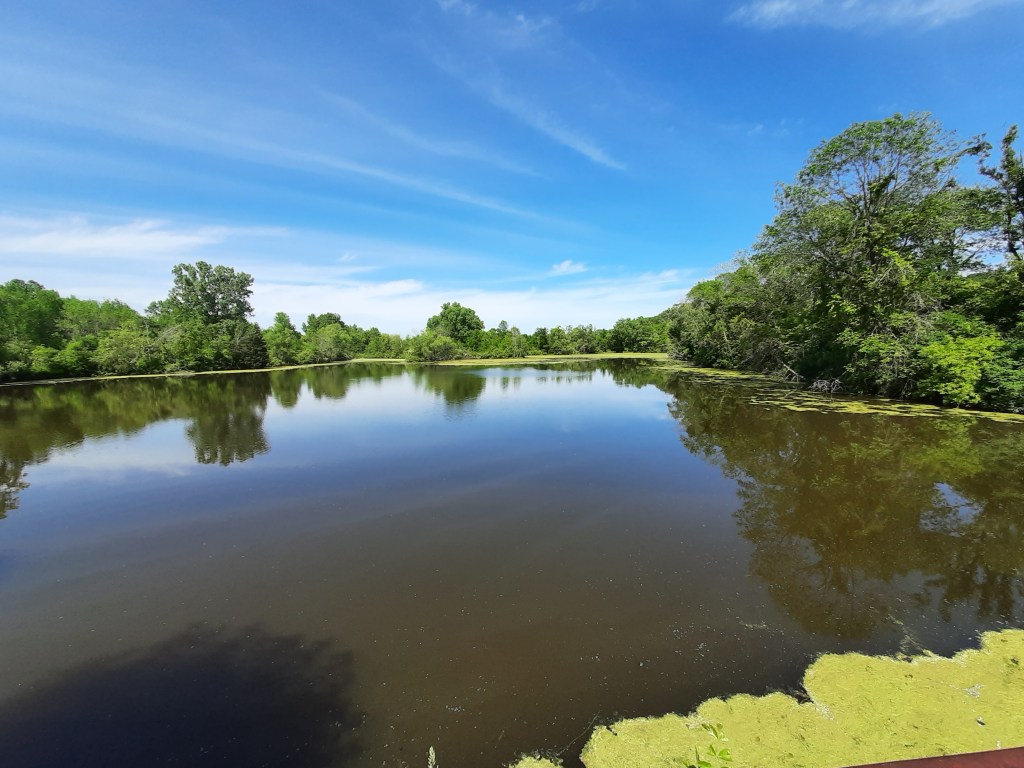 High Cliff State Park’s Butterfly Pond&nbsp;Trail
