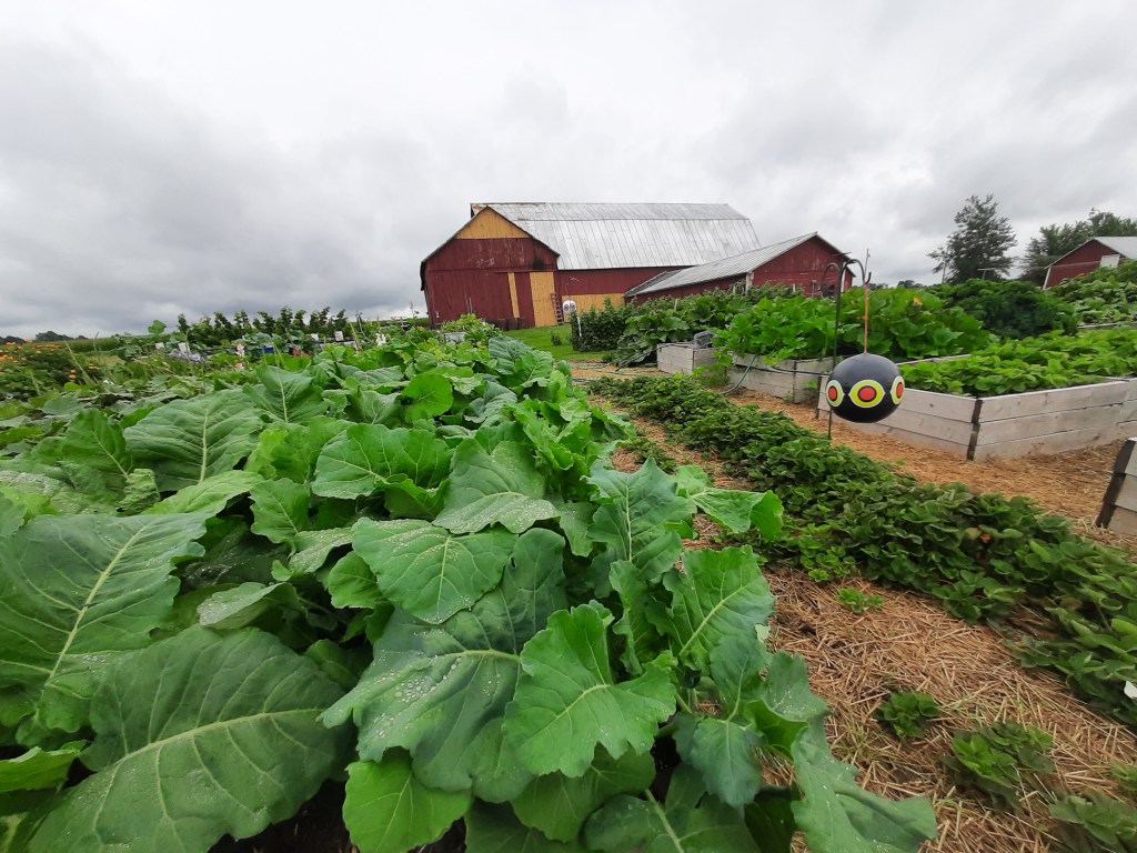 Garden Under a Cloudy&nbsp;Sky