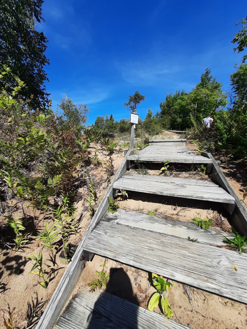 Hiking in Whitefish Dunes State&nbsp;Park