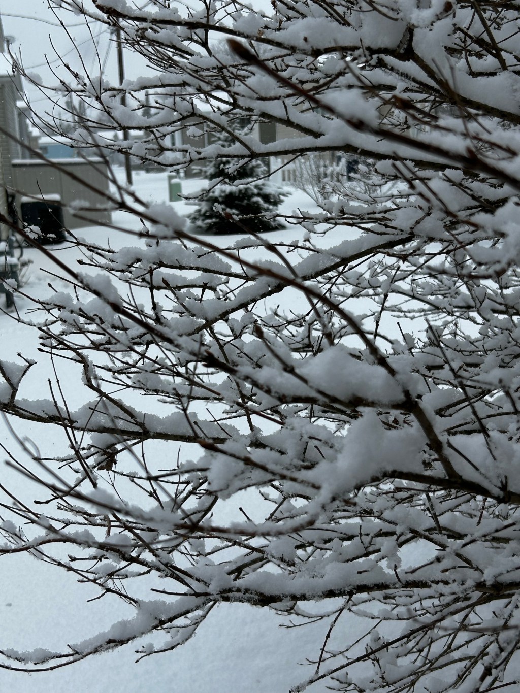 Just a Little&nbsp;Foresight