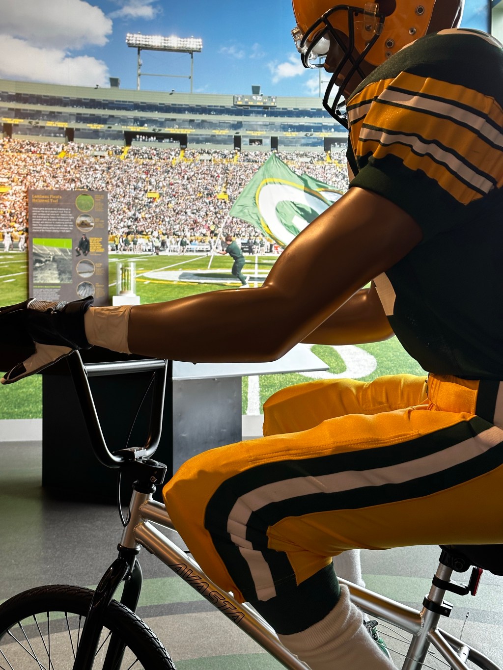 My Veterans Day Part 1:  The Green Bay Packer Hall of&nbsp;Fame