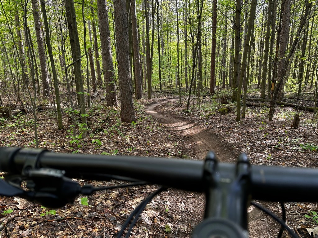 Thinking About Tomorrow