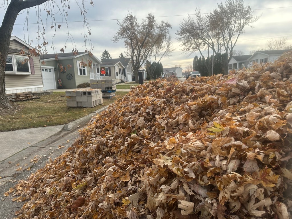 Leaf Pick Up&nbsp;Day…